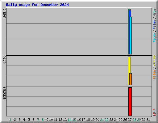 Daily usage for December 2024