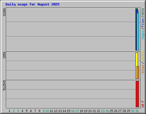 Daily usage for August 2025