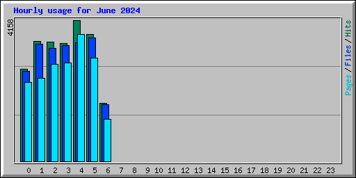 Hourly usage for June 2024