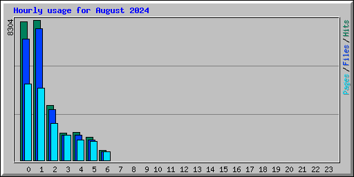 Hourly usage for August 2024