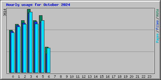 Hourly usage for October 2024