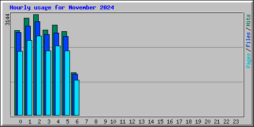 Hourly usage for November 2024