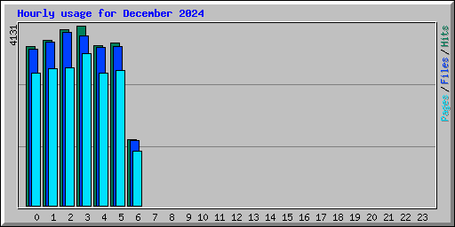 Hourly usage for December 2024