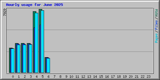Hourly usage for June 2025