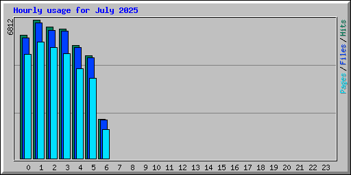 Hourly usage for July 2025