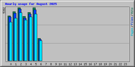 Hourly usage for August 2025