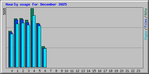 Hourly usage for December 2025